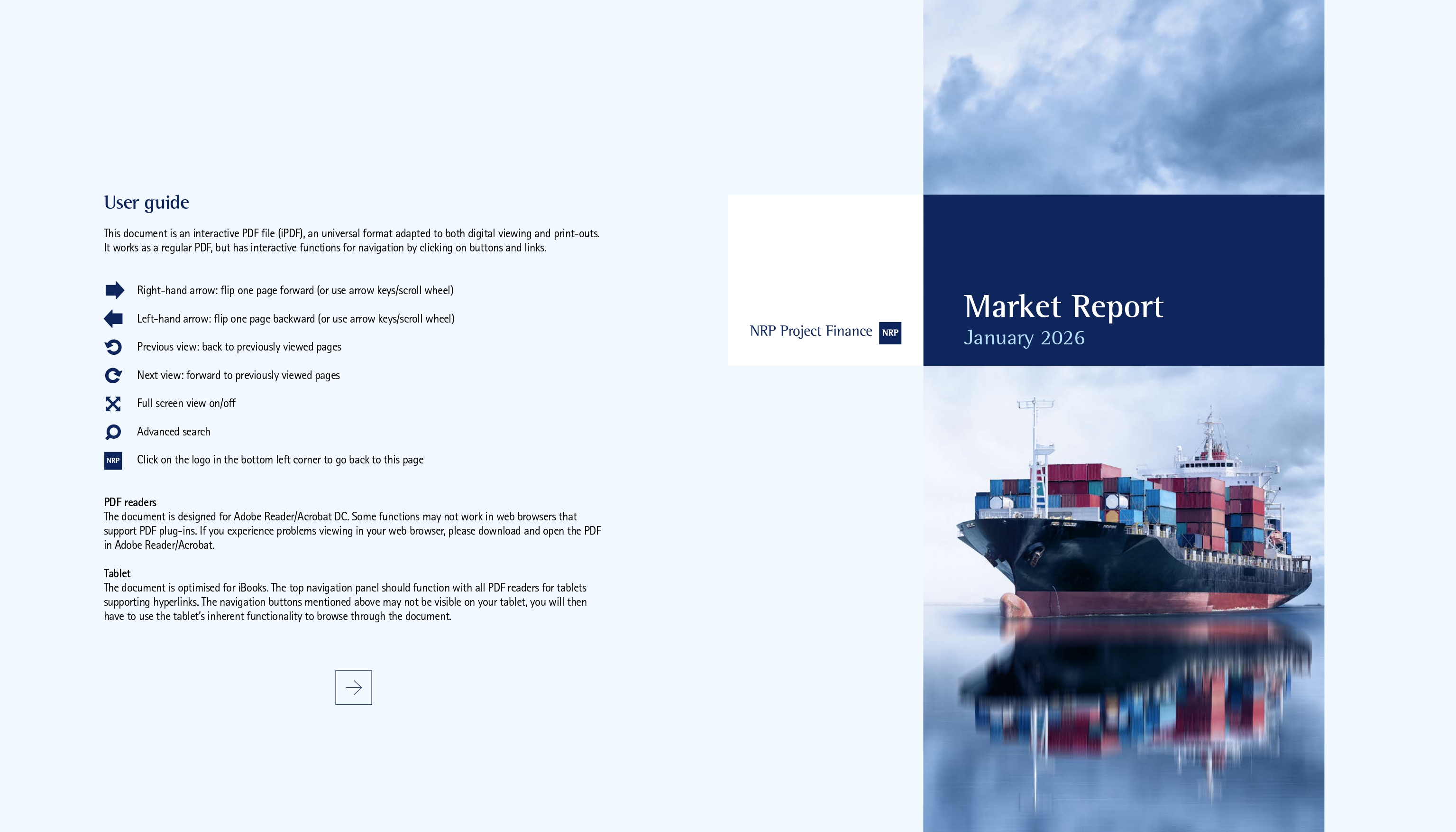 NRP Project Finance Market Report 2025